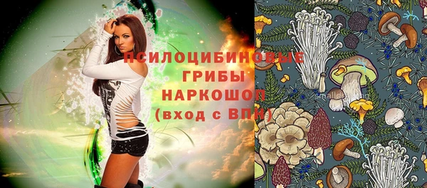 дживик Аркадак
