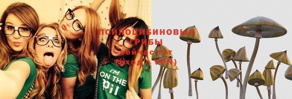 мет Арсеньев