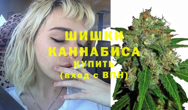 дживик Аркадак