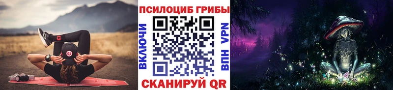 darknet какой сайт  Отрадное  Псилоцибиновые грибы мицелий  OMG  